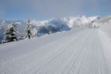 Bowl road.